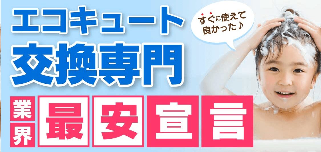 エコバス便の画像4